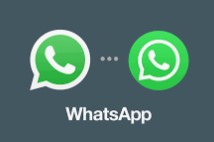 whatsapp atomy